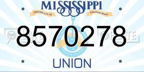 8570278 Mississippi License Plate