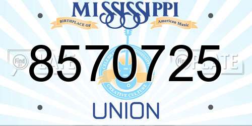 8570725 Mississippi License Plate