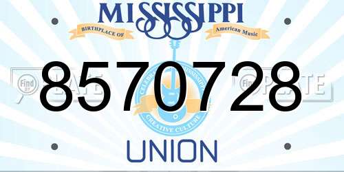 8570728 Mississippi License Plate