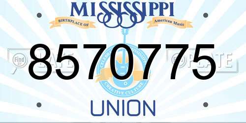 8570775 Mississippi License Plate