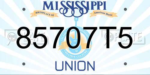 85707T5 Mississippi License Plate
