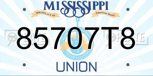 85707T8 Mississippi License Plate