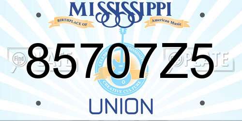 85707Z5 Mississippi License Plate