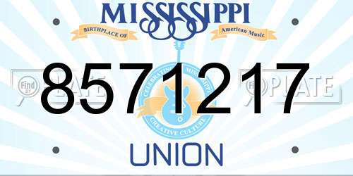 8571217 Mississippi License Plate