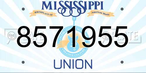 8571955 Mississippi License Plate