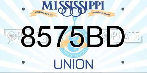 8575BD Mississippi License Plate