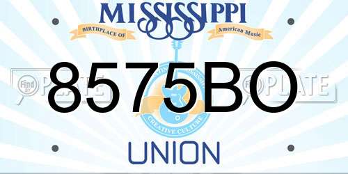 8575BO Mississippi License Plate