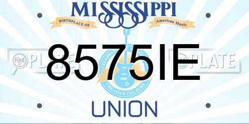 8575IE Mississippi License Plate