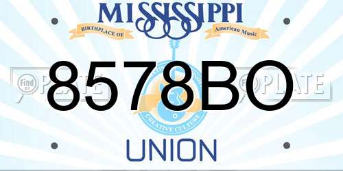 8578BO Mississippi License Plate