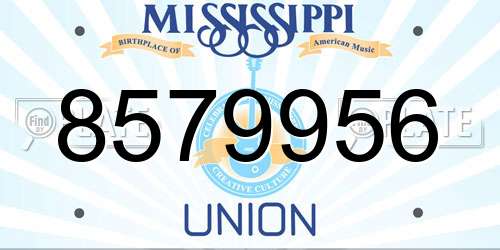 8579956 Mississippi License Plate