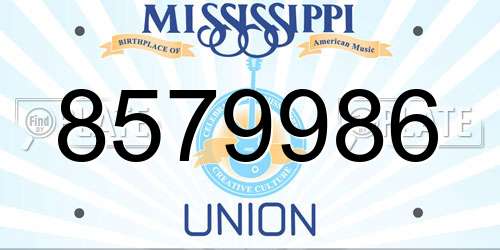 8579986 Mississippi License Plate
