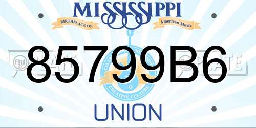 85799B6 Mississippi License Plate