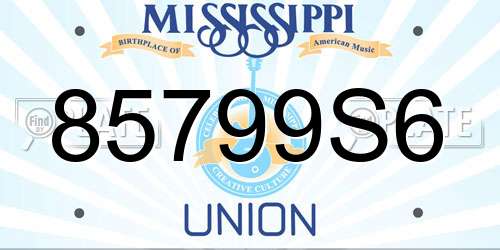 85799S6 Mississippi License Plate
