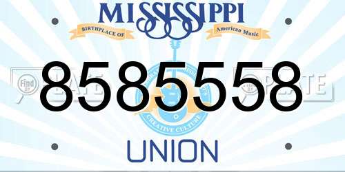 8585558 Mississippi License Plate