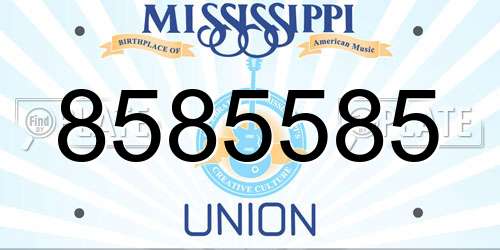 8585585 Mississippi License Plate