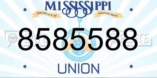 8585588 Mississippi License Plate