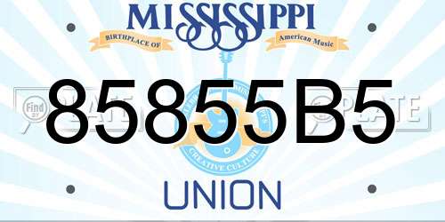 85855B5 Mississippi License Plate