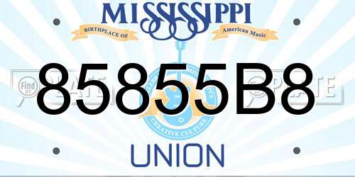 85855B8 Mississippi License Plate