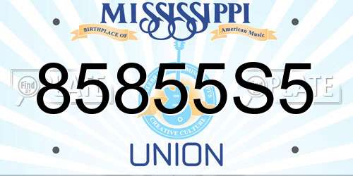 85855S5 Mississippi License Plate