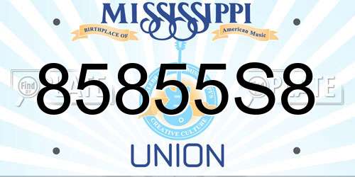 85855S8 Mississippi License Plate