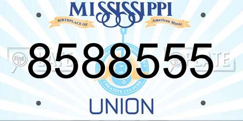 8588555 Mississippi License Plate