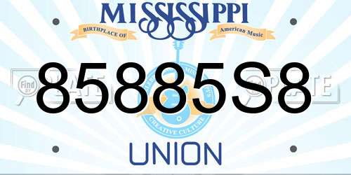 85885S8 Mississippi License Plate