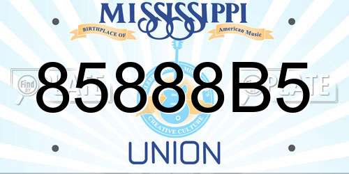 85888B5 Mississippi License Plate
