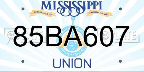 85BA607 Mississippi License Plate