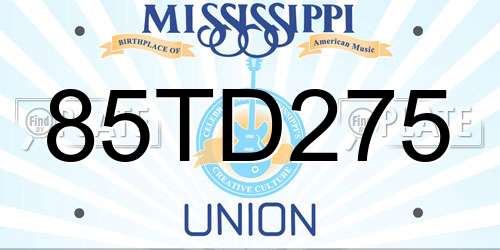 85TD275 Mississippi License Plate