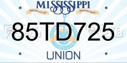 85TD725 Mississippi License Plate