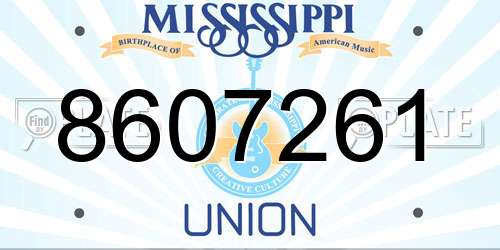 8607261 Mississippi License Plate