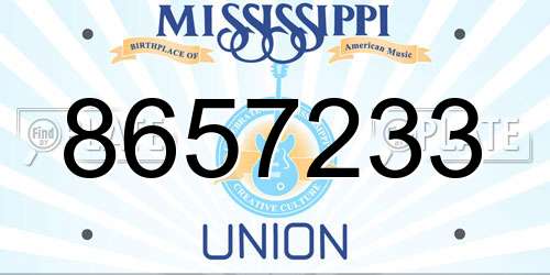 8657233 Mississippi License Plate