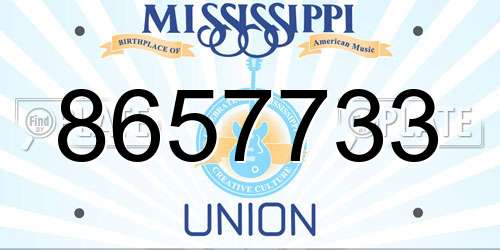 8657733 Mississippi License Plate