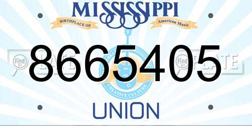 8665405 Mississippi License Plate