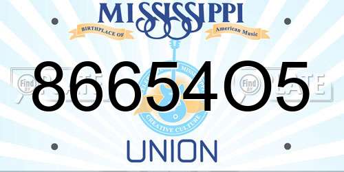 86654O5 Mississippi License Plate
