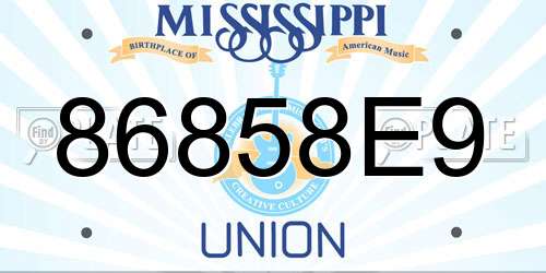 86858E9 Mississippi License Plate