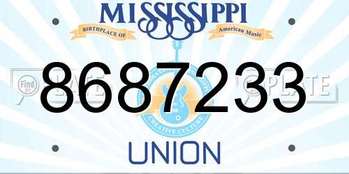 8687233 Mississippi License Plate