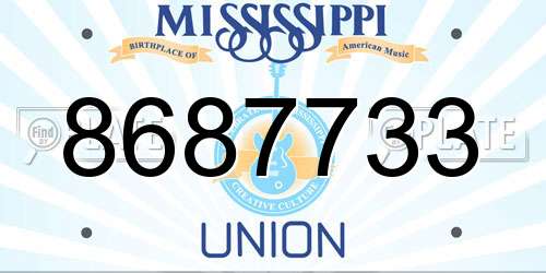 8687733 Mississippi License Plate