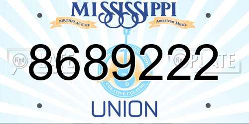 8689222 Mississippi License Plate