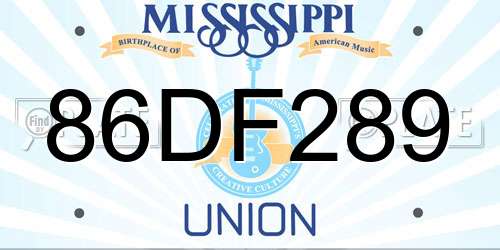 86DF289 Mississippi License Plate