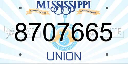8707665 Mississippi License Plate