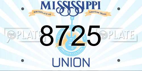 8725 Mississippi License Plate