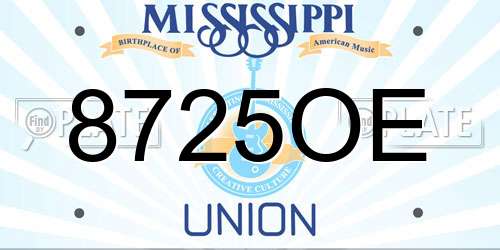 8725OE Mississippi License Plate
