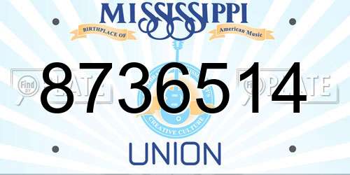 8736514 Mississippi License Plate