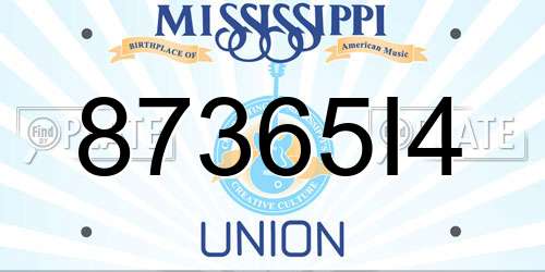 87365I4 Mississippi License Plate