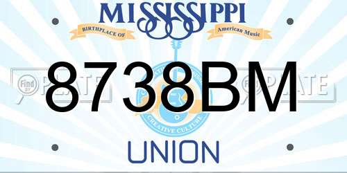 8738BM Mississippi License Plate