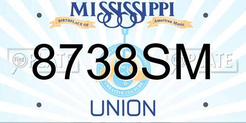8738SM Mississippi License Plate