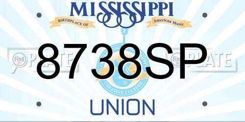 8738SP Mississippi License Plate