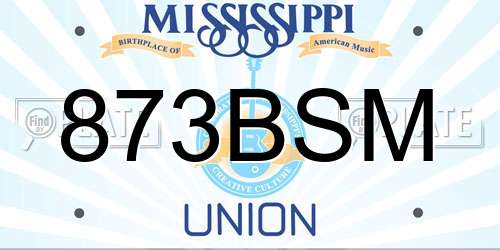 873BSM Mississippi License Plate