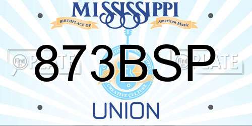 873BSP Mississippi License Plate